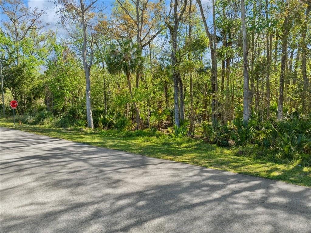 Photo 3 of 138 Blare Dr, Palm Coast, FL 32137