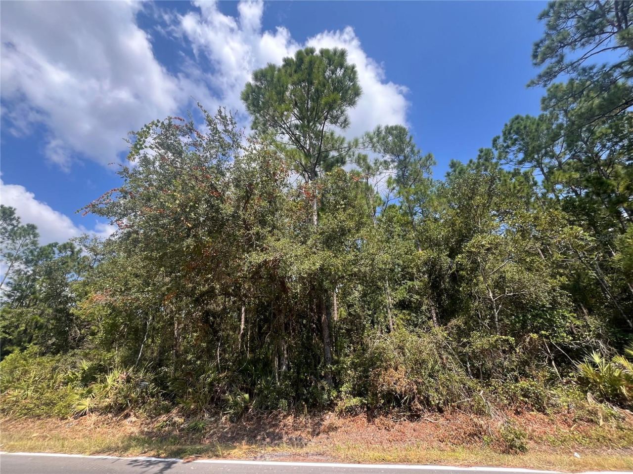 Photo 5 of 182 Millican Rd, Palatka, FL 32177
