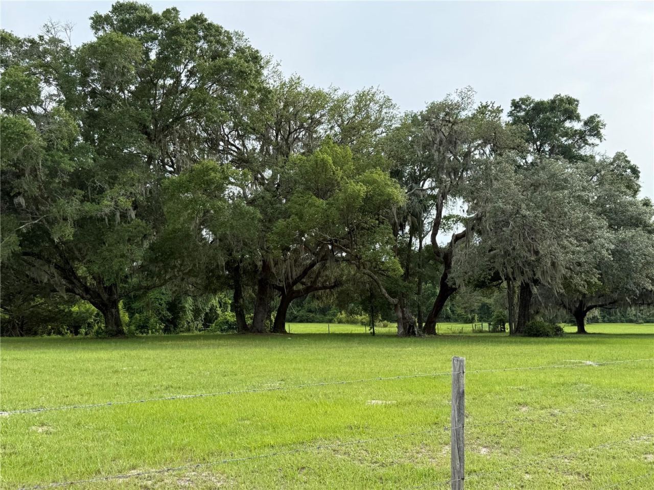 Photo 4 of 1360 S State Road 19, Palatka, FL 32177
