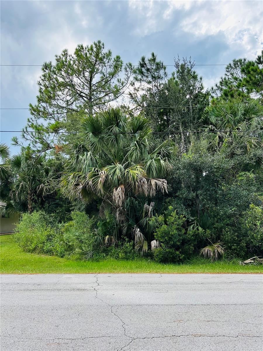Photo 3 of 3 Seattle Trl, Palm Coast, FL 32164