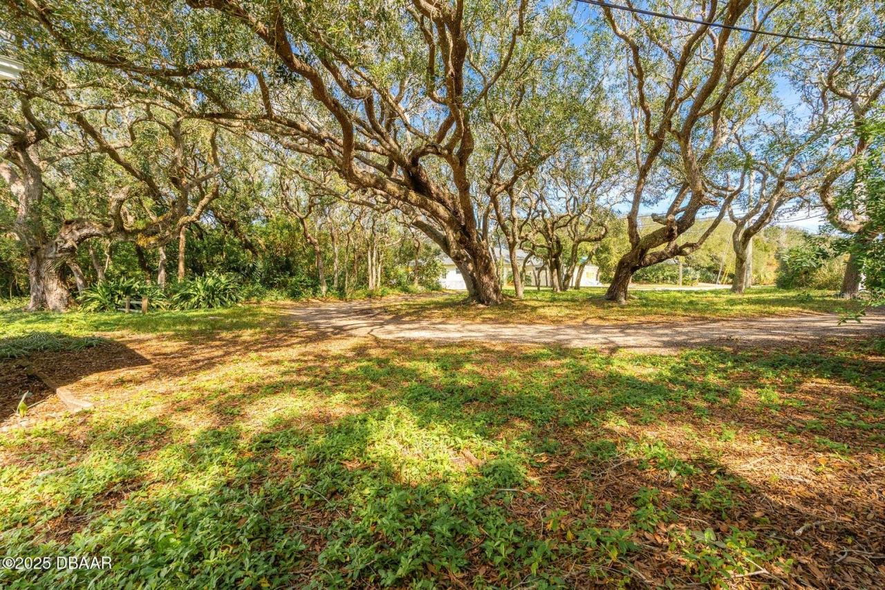 Photo 3 of 4770 S Peninsula Dr, Ponce Inlet, FL 32127