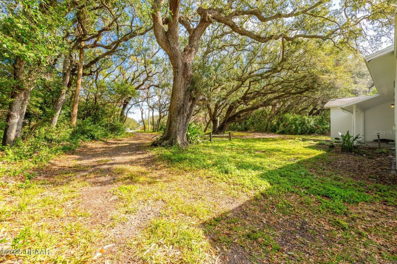 Photo 4 of 4770 S Peninsula Dr, Ponce Inlet, FL 32127