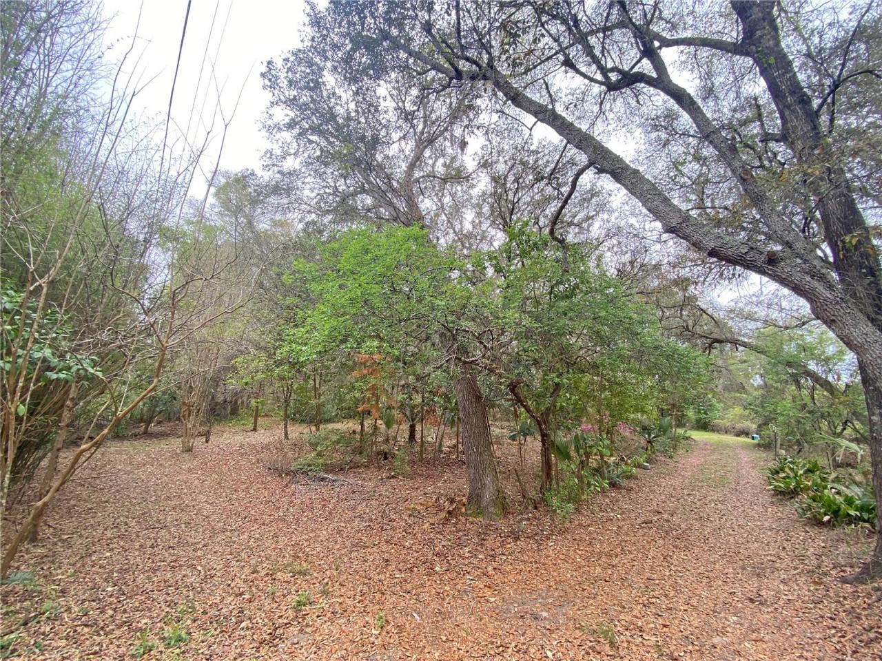 Photo 4 of 119 Twin Lakes Rd, Hawthorne, FL 32640