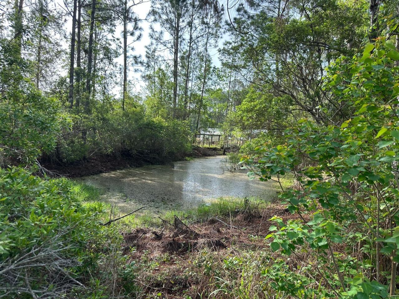 Photo 4 of 1583 Beech Blvd, Bunnell, FL 32110
