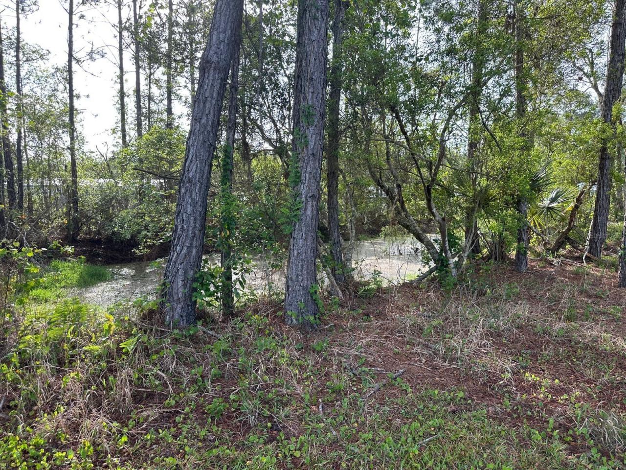 Photo 5 of 1583 Beech Blvd, Bunnell, FL 32110
