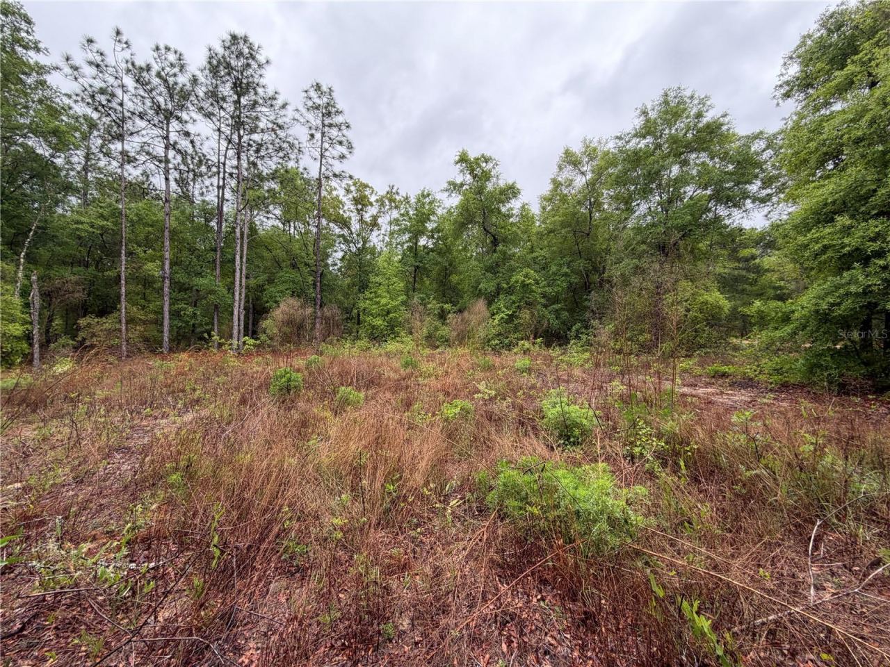 Photo 4 of 301 Rainbow Dr, Hawthorne, FL 32640