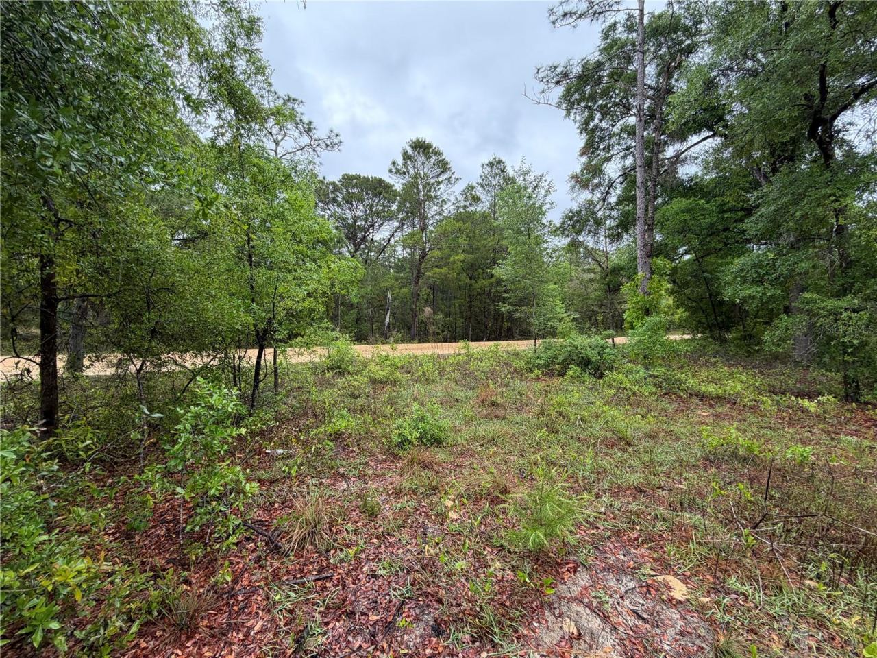 Photo 5 of 301 Rainbow Dr, Hawthorne, FL 32640