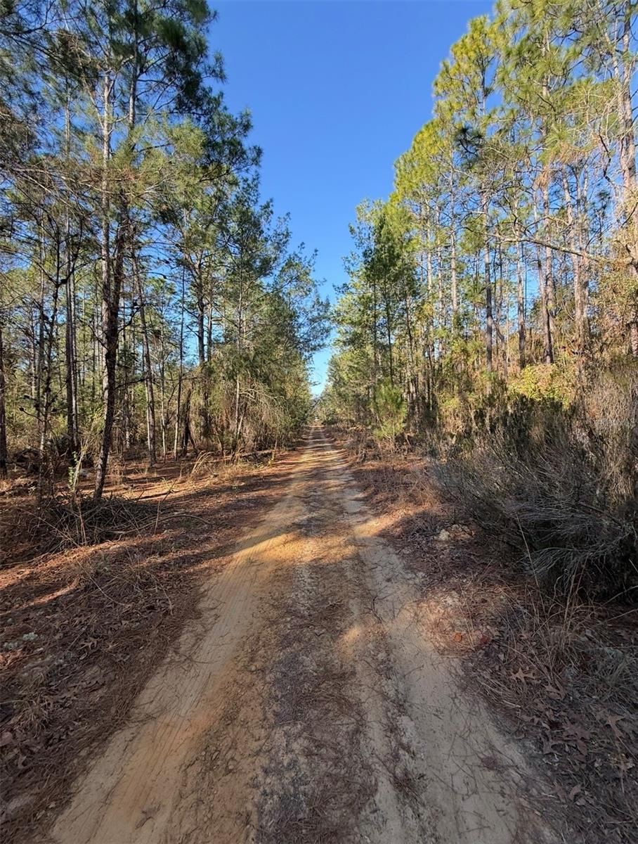 Photo 4 of Tbt 5th Way, Interlachen, FL 32148