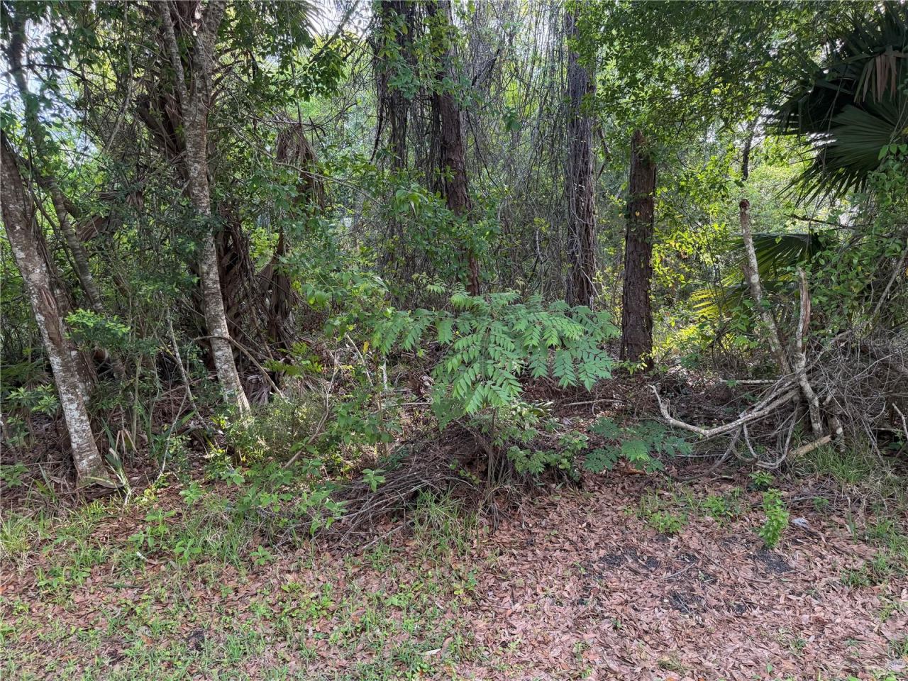 Photo 3 of 11 Patrick Pl, Palm Coast, FL 32164