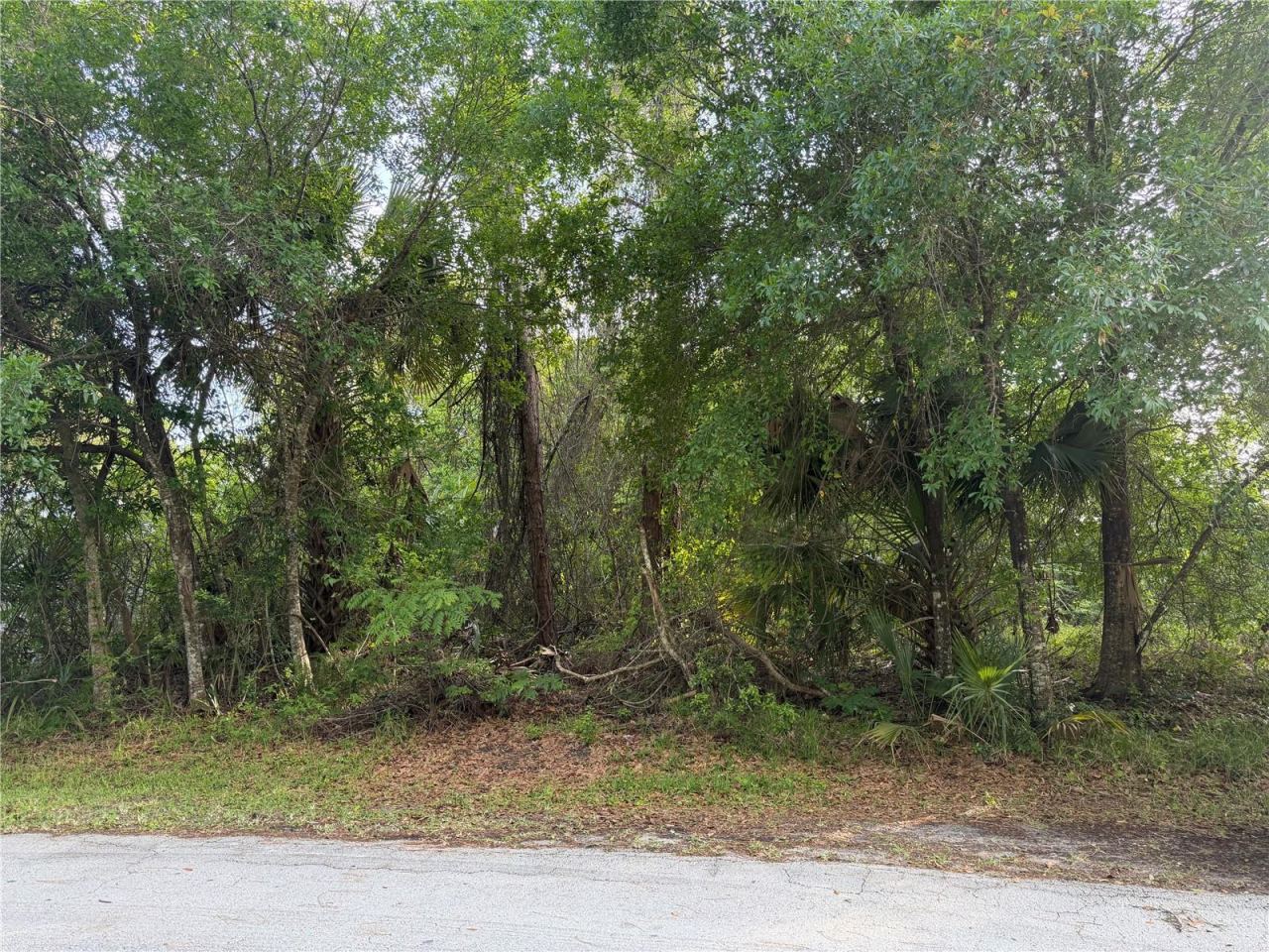 Photo 4 of 11 Patrick Pl, Palm Coast, FL 32164