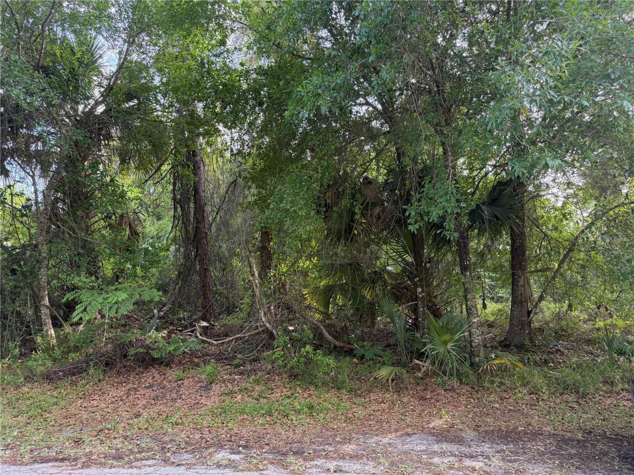 Photo 5 of 11 Patrick Pl, Palm Coast, FL 32164