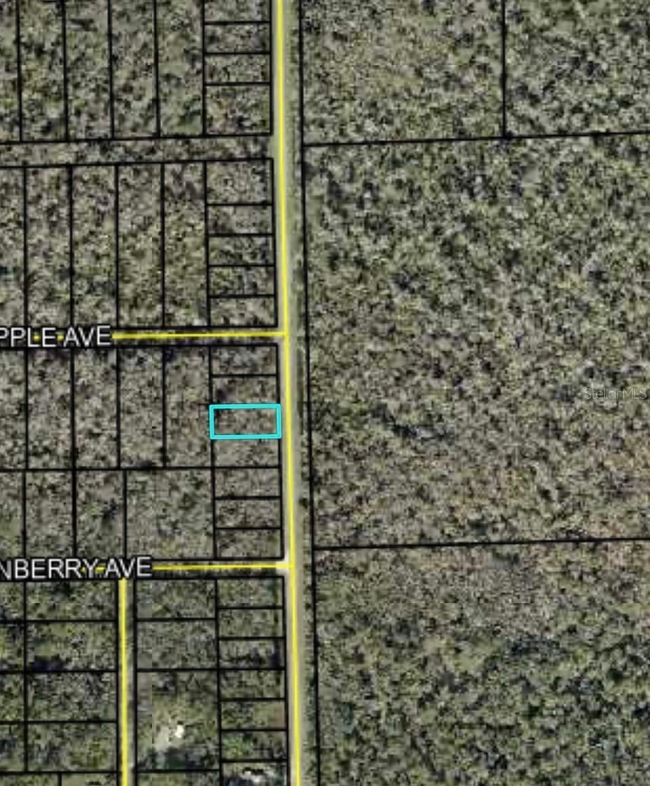 Photo 4 of 2166 Cr-305, Bunnell, FL 32110