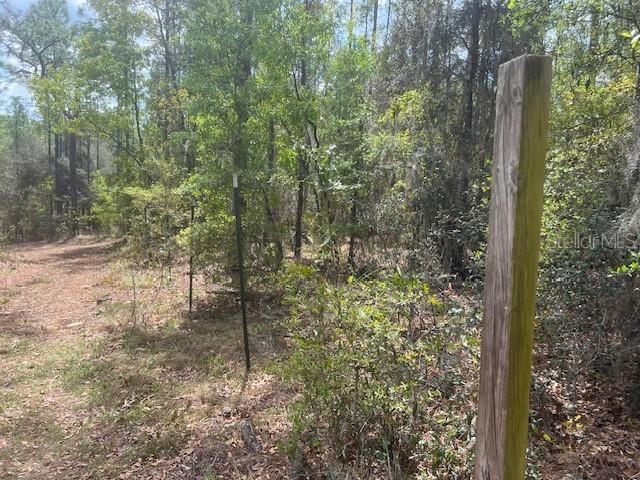 Photo 5 of 181 Whirlwind Loop, Hawthorne, FL 32640