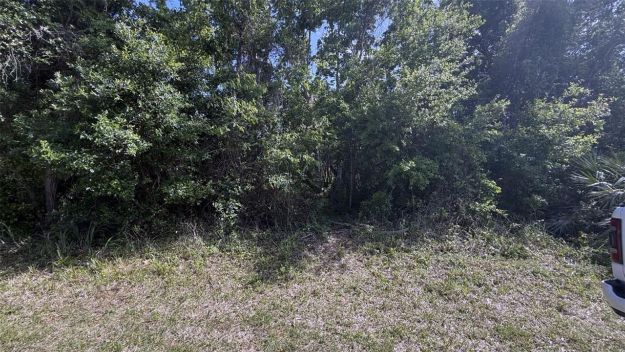 Photo 4 of 0 Washington St, New Smyrna Beach, FL 32168