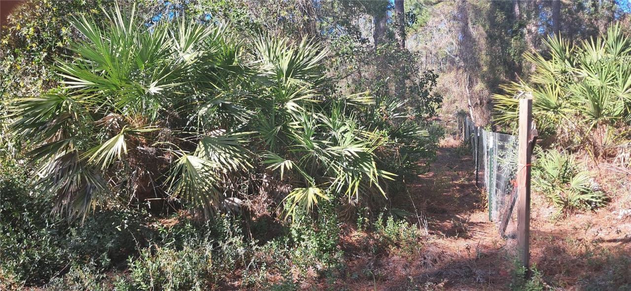 Photo 5 of 120 Gardenia Ave, Georgetown, FL 32139