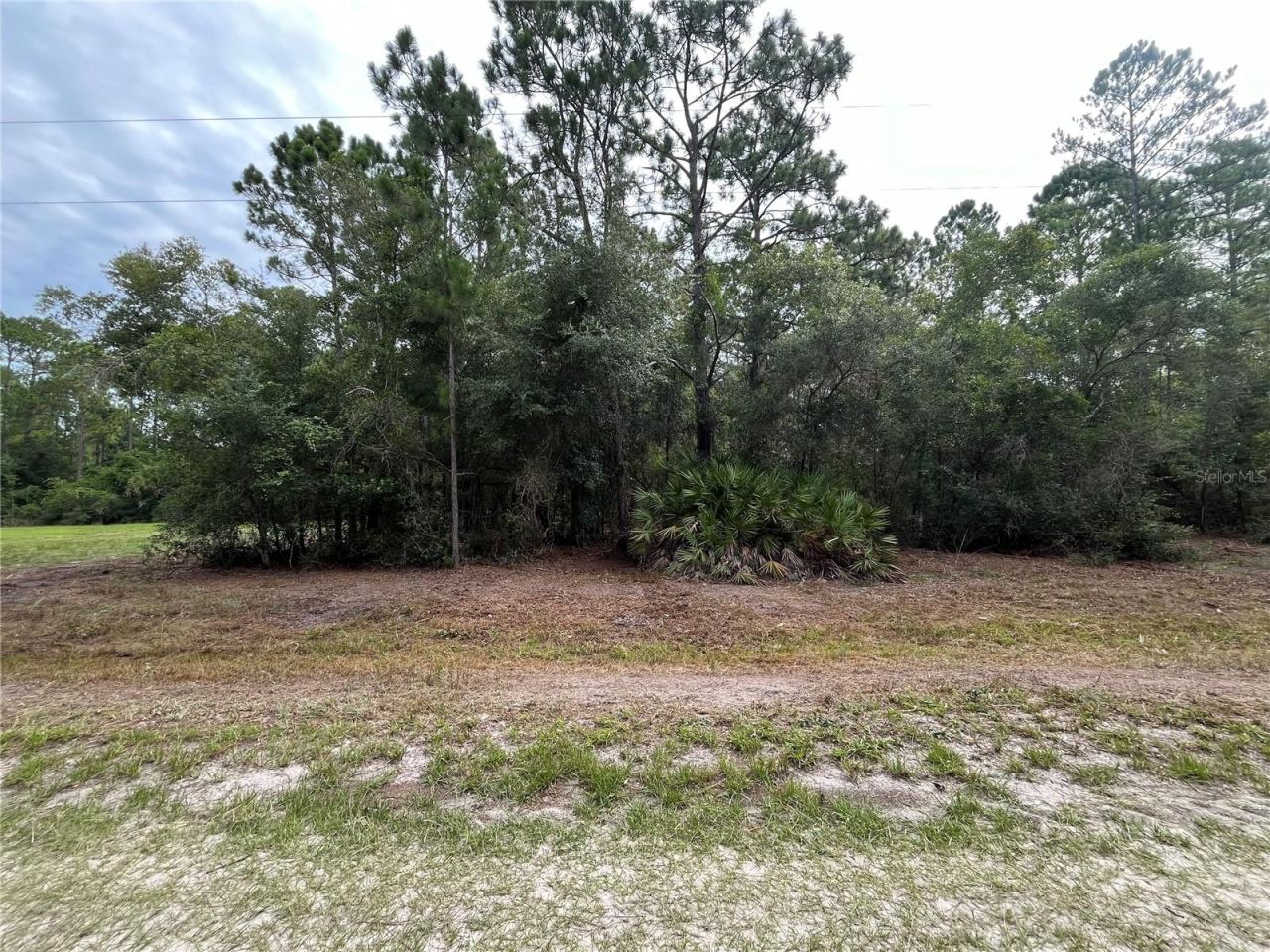 Photo 4 of 122 Glenside St, Georgetown, FL 32139