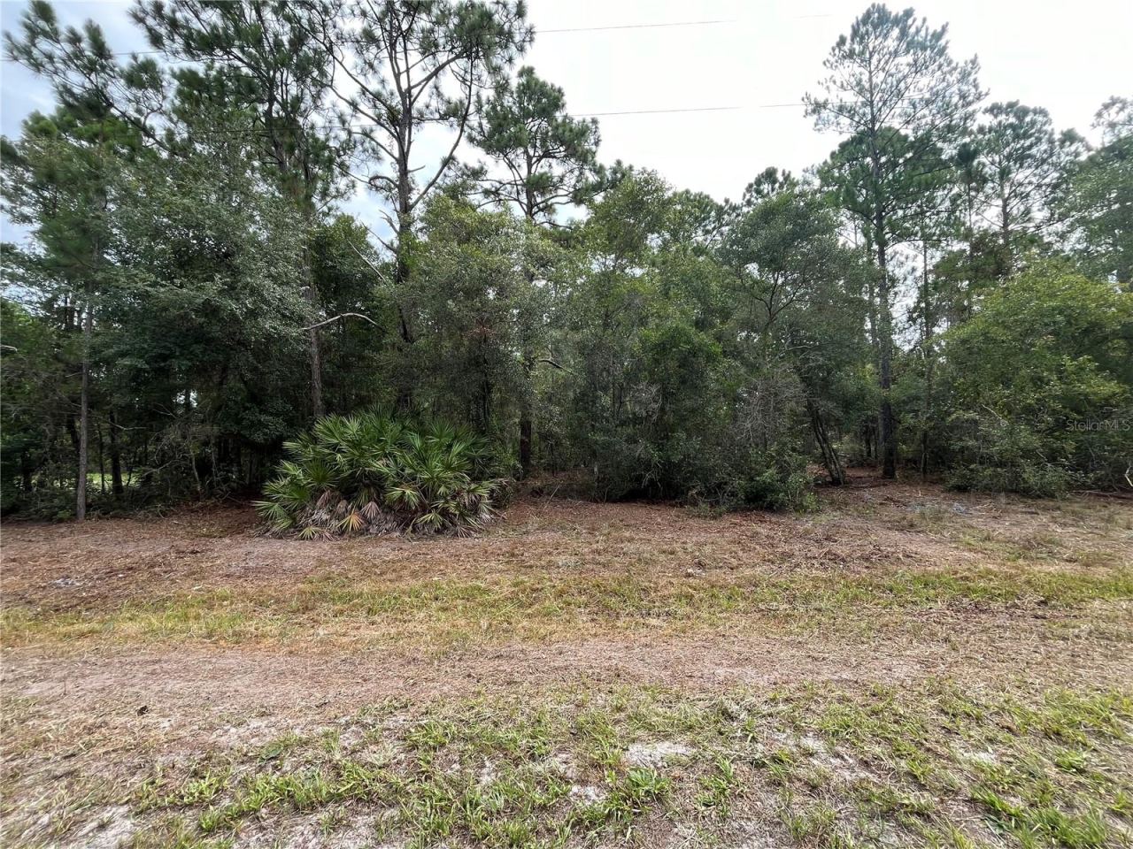 Photo 4 of 124 Glenside St, Georgetown, FL 32139