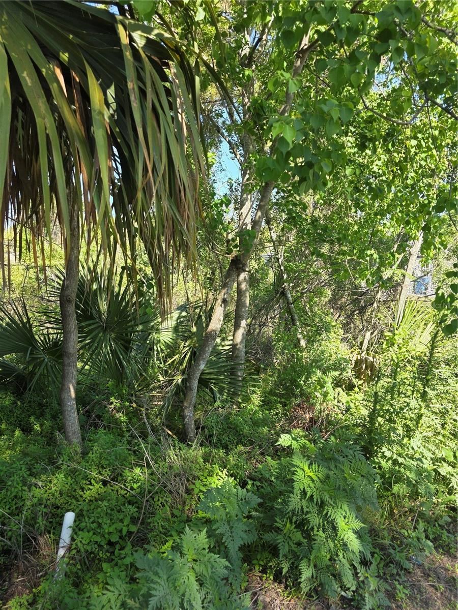 Photo 4 of 226 Walnut Ave, Orange City, FL 32763