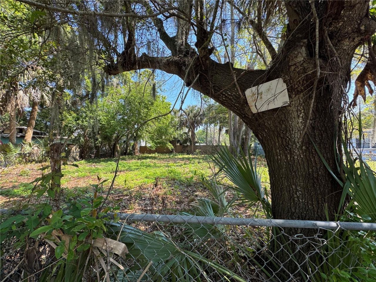 Photo 4 of 1127 Martha Dr, Daytona Beach, FL 32114