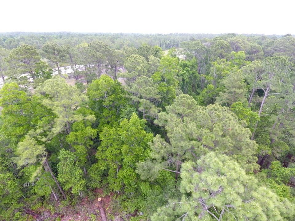 Photo 4 of 161 Snake Hill Rd, Crescent City, FL 32112