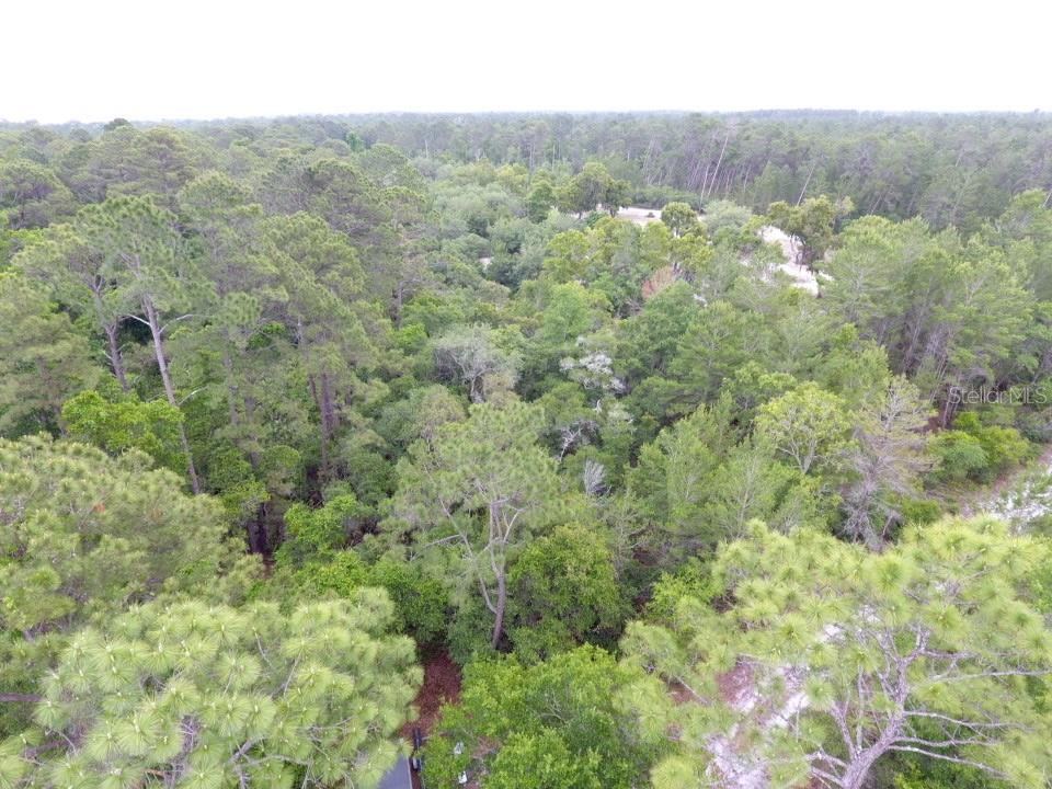 Photo 5 of 161 Snake Hill Rd, Crescent City, FL 32112