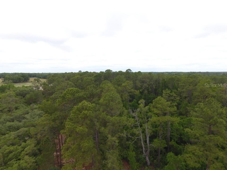 Photo 3 of 155 Snake Hill Rd, Pomona Park, FL 32181