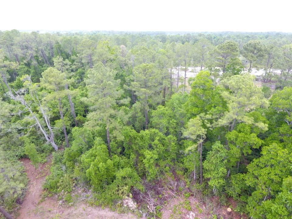 Photo 5 of 155 Snake Hill Rd, Pomona Park, FL 32181