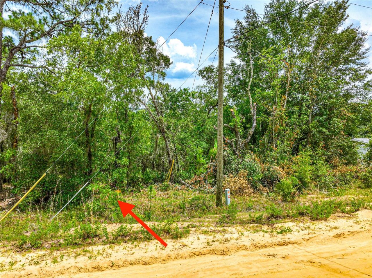 Photo 5 of 128 Carmichael Rd, Interlachen, FL 32148