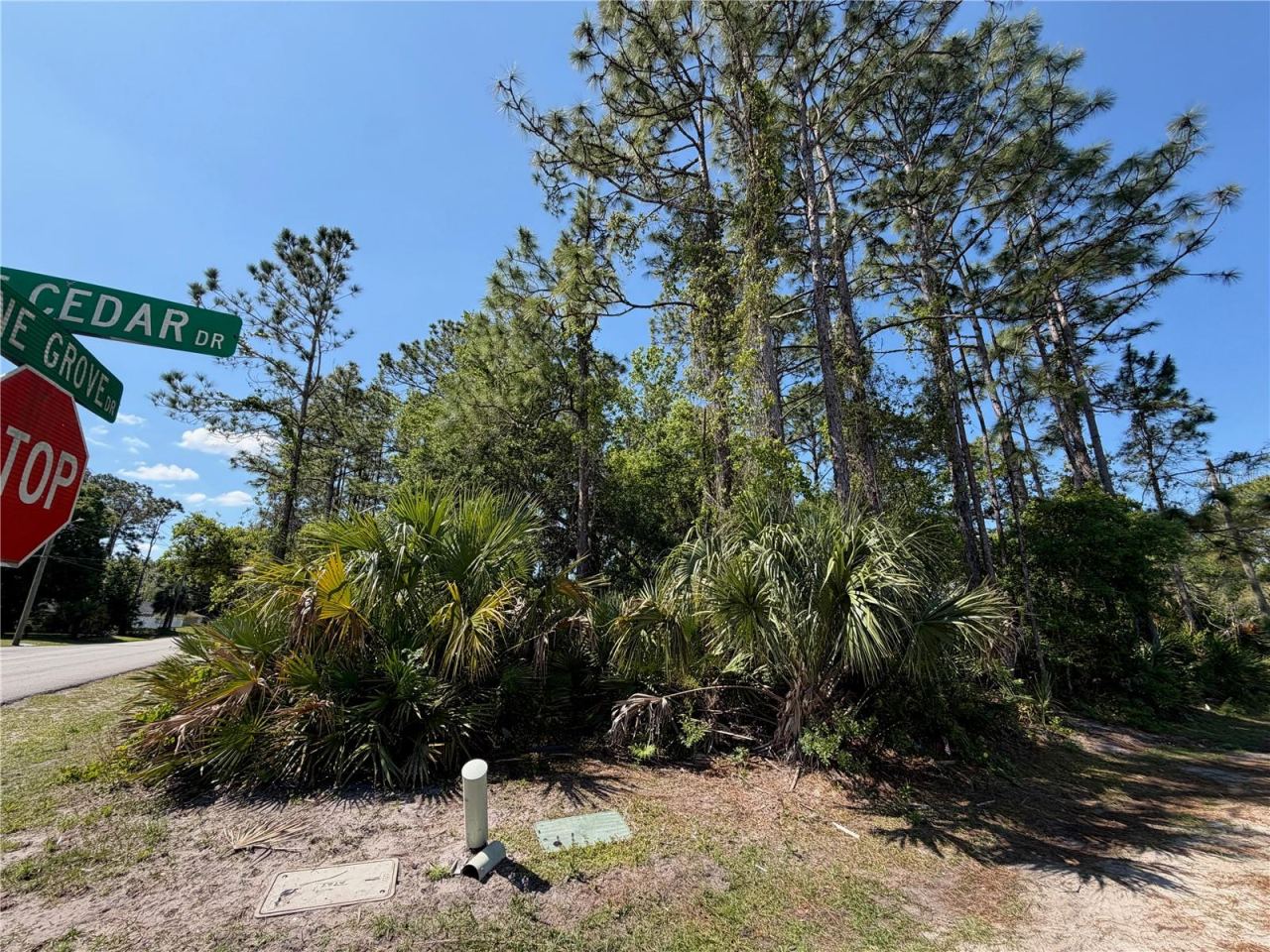 Photo 3 of 60 Pine Cedar Dr, Palm Coast, FL 32164