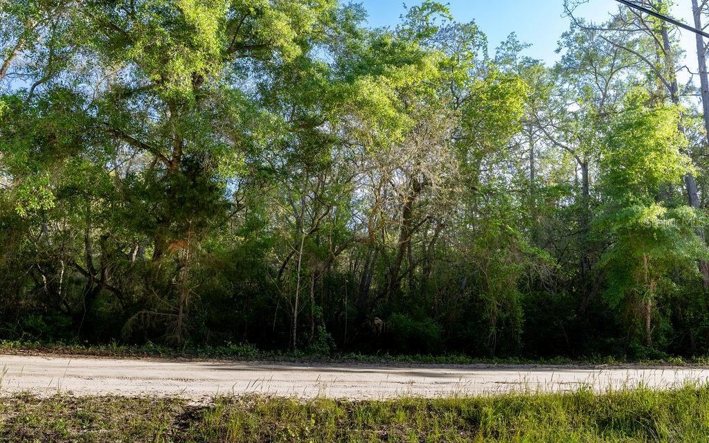 Photo 3 of Lake Maregaret Blvd, Pomona Park, FL 32181