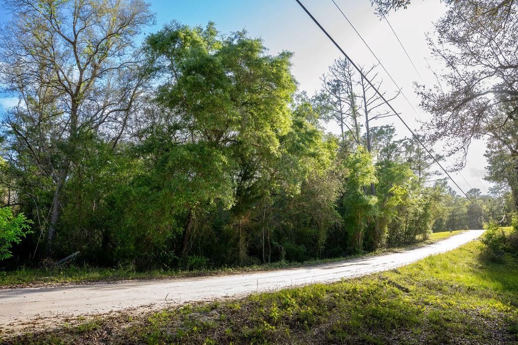 Photo 4 of Lake Maregaret Blvd, Pomona Park, FL 32181