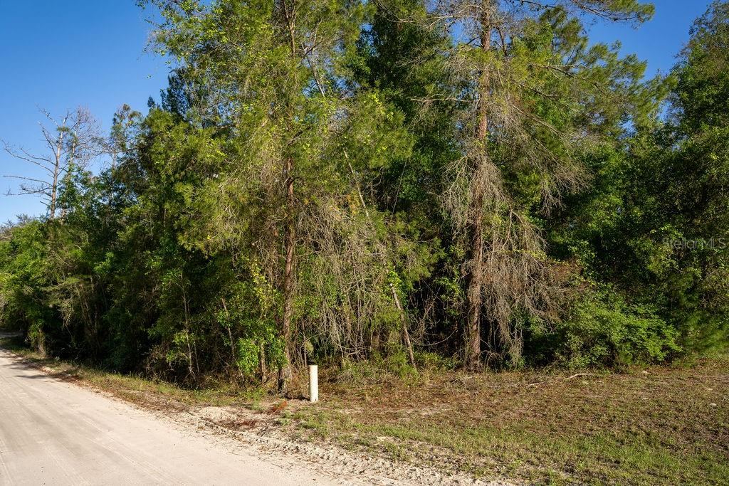 Photo 5 of Lake Maregaret Blvd, Pomona Park, FL 32181
