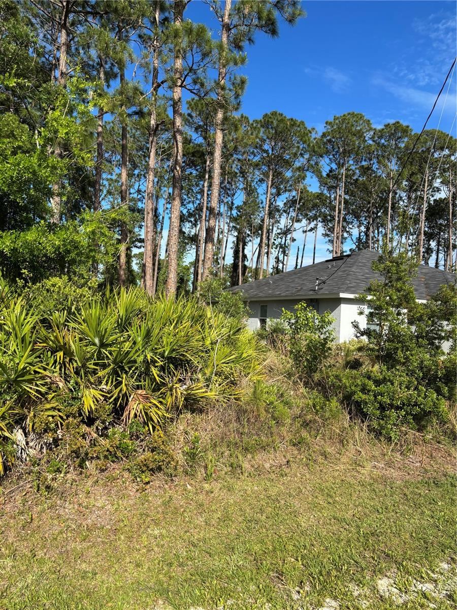 Photo 3 of 153 Ullian Trl, Palm Coast, FL 32164