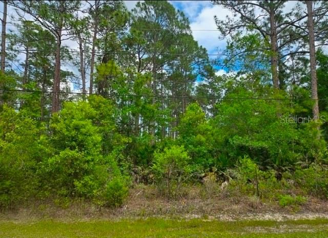 Photo 4 of 1747 Candleberry St, Bunnell, FL 32110