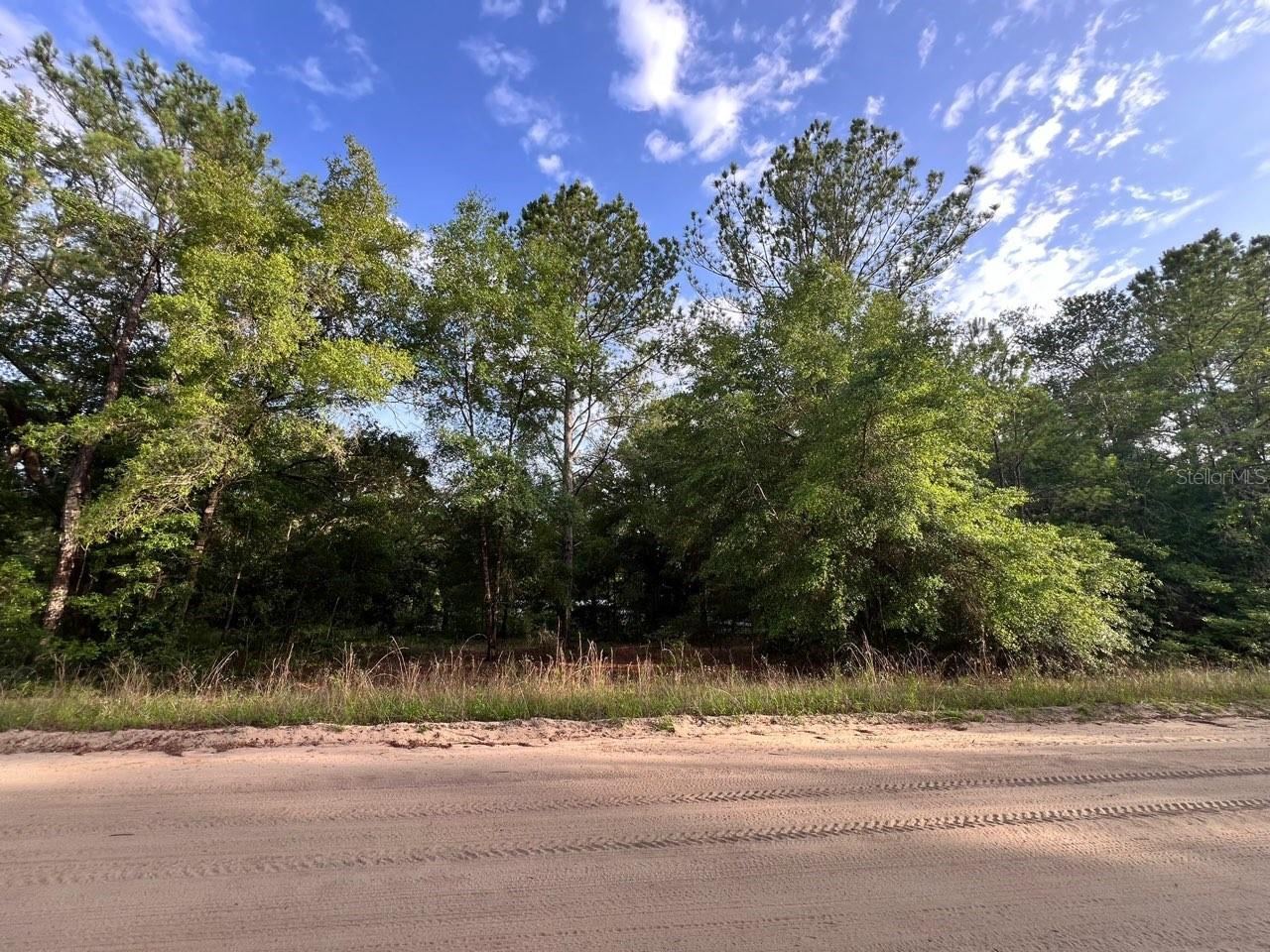 Photo 4 of Decker Street Lot 12 13, Interlachen, FL 32148