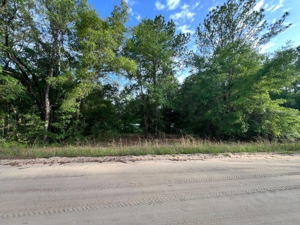 Photo 5 of Decker Street Lot 12 13, Interlachen, FL 32148