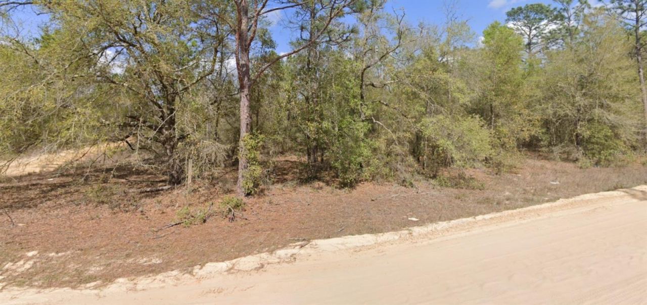 Photo 5 of Lot 1 Martinedale Ave, Interlachen, FL 32148