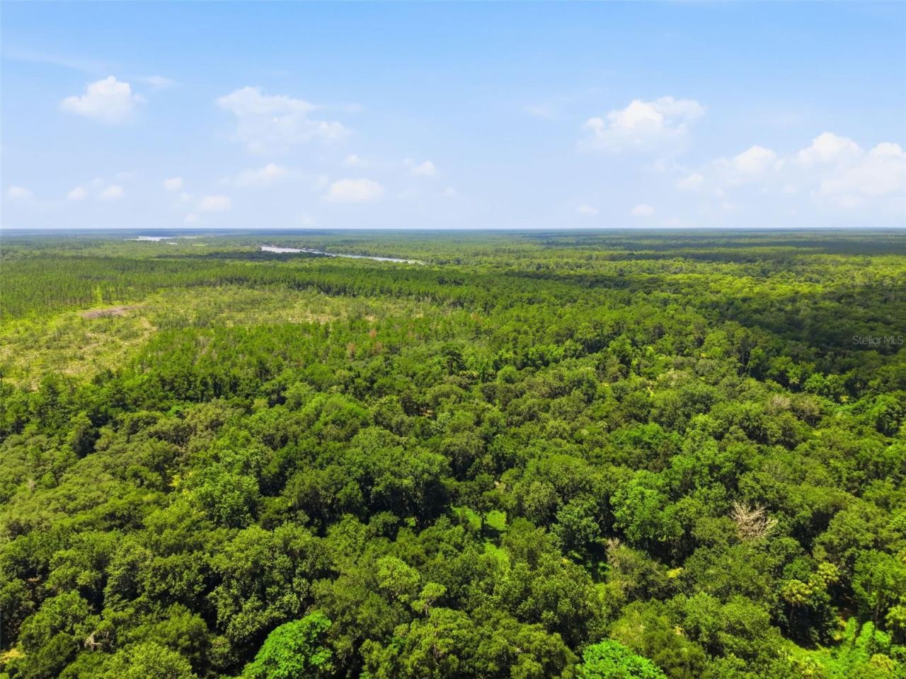 Photo 4 of 2140 St Johns River Rd, Astor, FL 32102