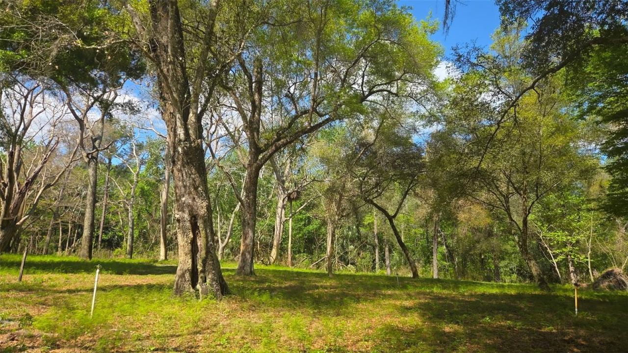 Photo 5 of 2140 St Johns River Rd, Astor, FL 32102