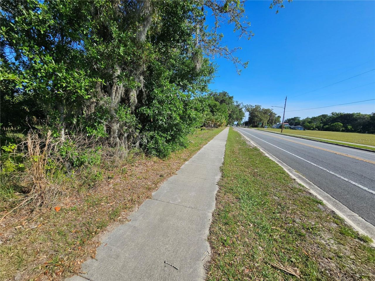Photo 3 of 123 W 2nd Ave, Pierson, FL 32180