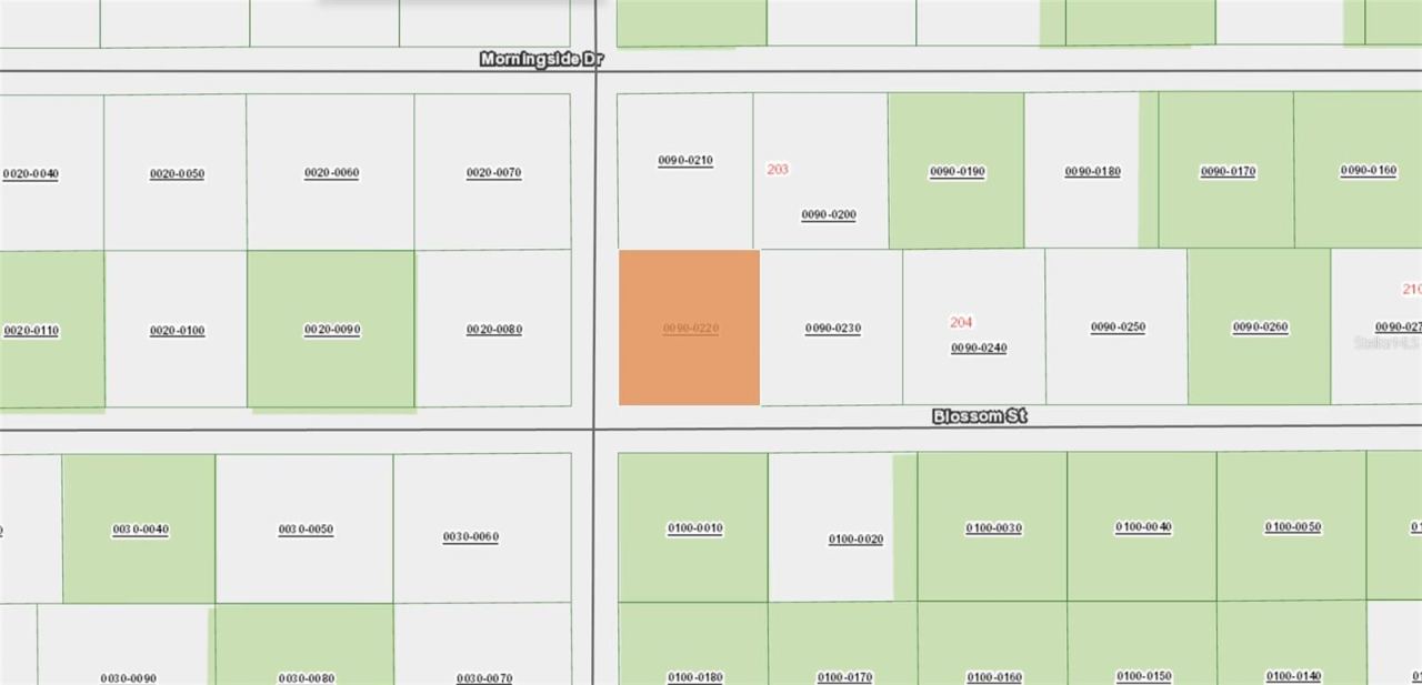 Photo 4 of Xx Blossom, Florahome, FL 32140