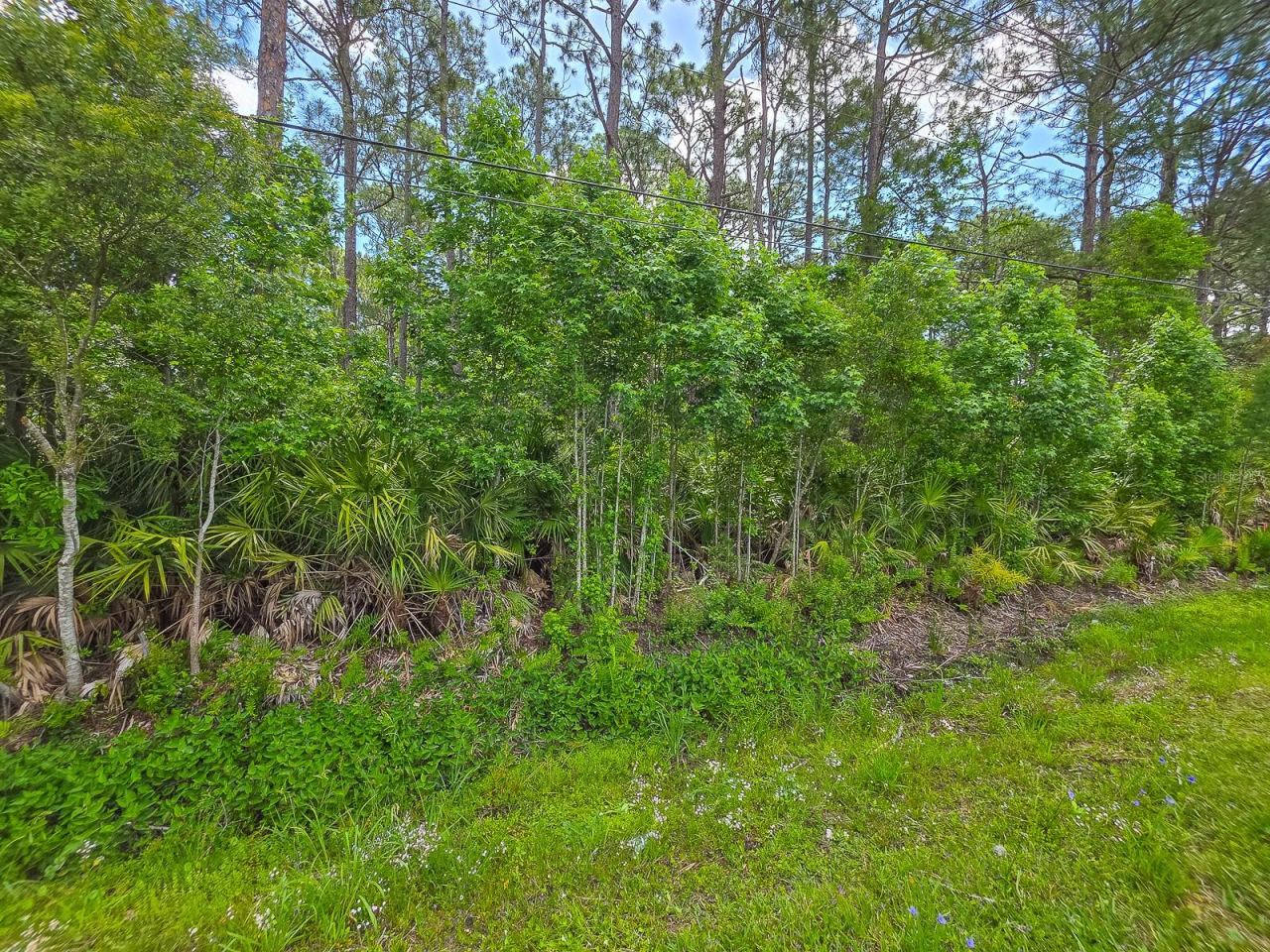Photo 4 of 9152 U S Highway 1, St Augustine, FL 32086