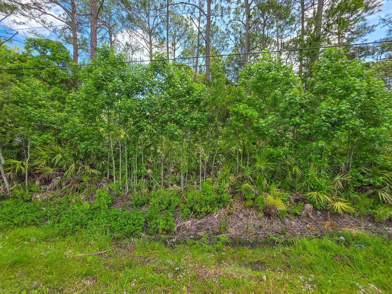 Photo 5 of 9152 U S Highway 1, St Augustine, FL 32086