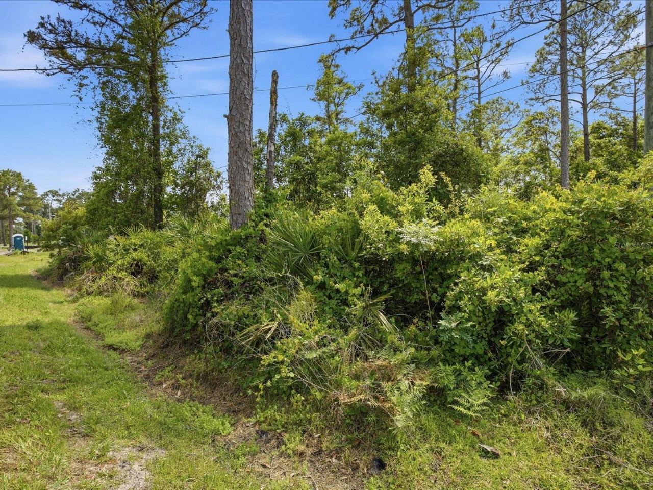 Photo 5 of 1340 East Pkwy, Deland, FL 32724