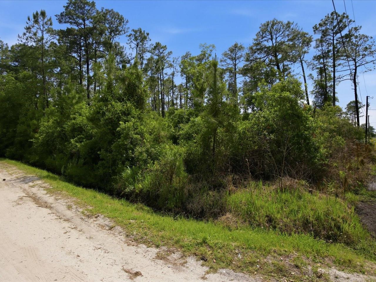 Photo 5 of 1490 10th Ave, Deland, FL 32724
