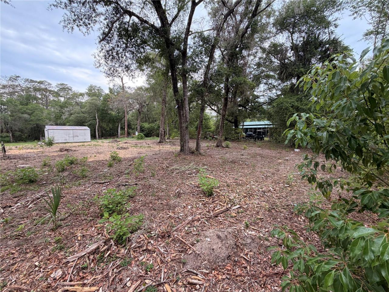 Photo 4 of 117 Breezy Oak Ln, Fort Mc Coy, FL 32134