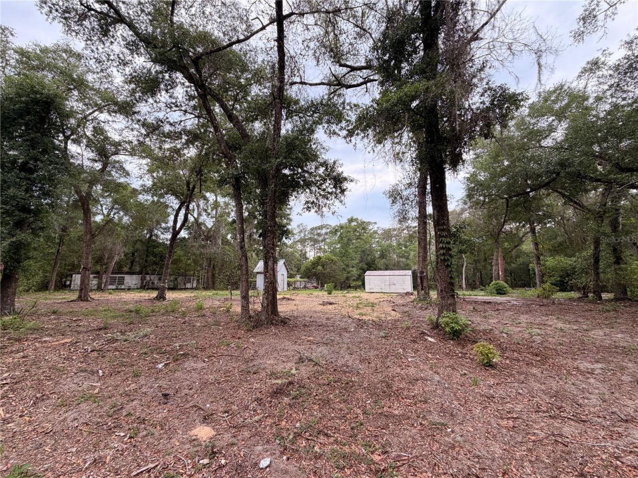 Photo 5 of 117 Breezy Oak Ln, Fort Mc Coy, FL 32134