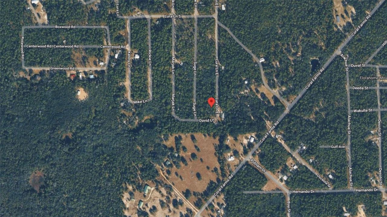 Photo 5 of 169 E Lura Ln, Florahome, FL 32140
