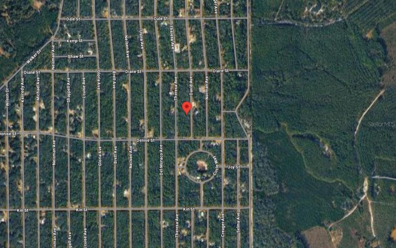 Photo 4 of 917 David Ave, Interlachen, FL 32148