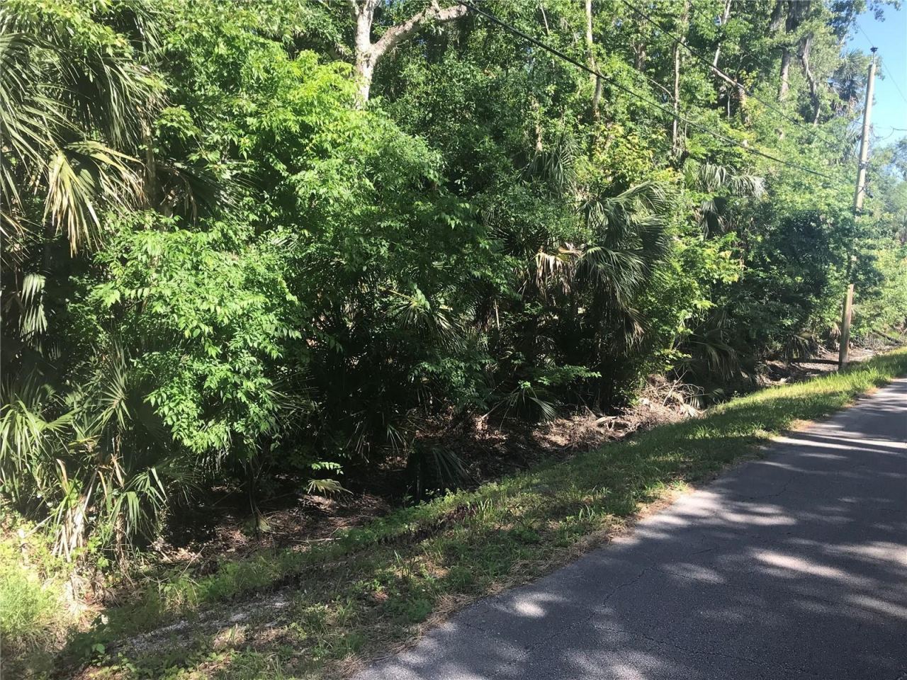 Photo 4 of Elizabeth St, New Smyrna Beach, FL 32168